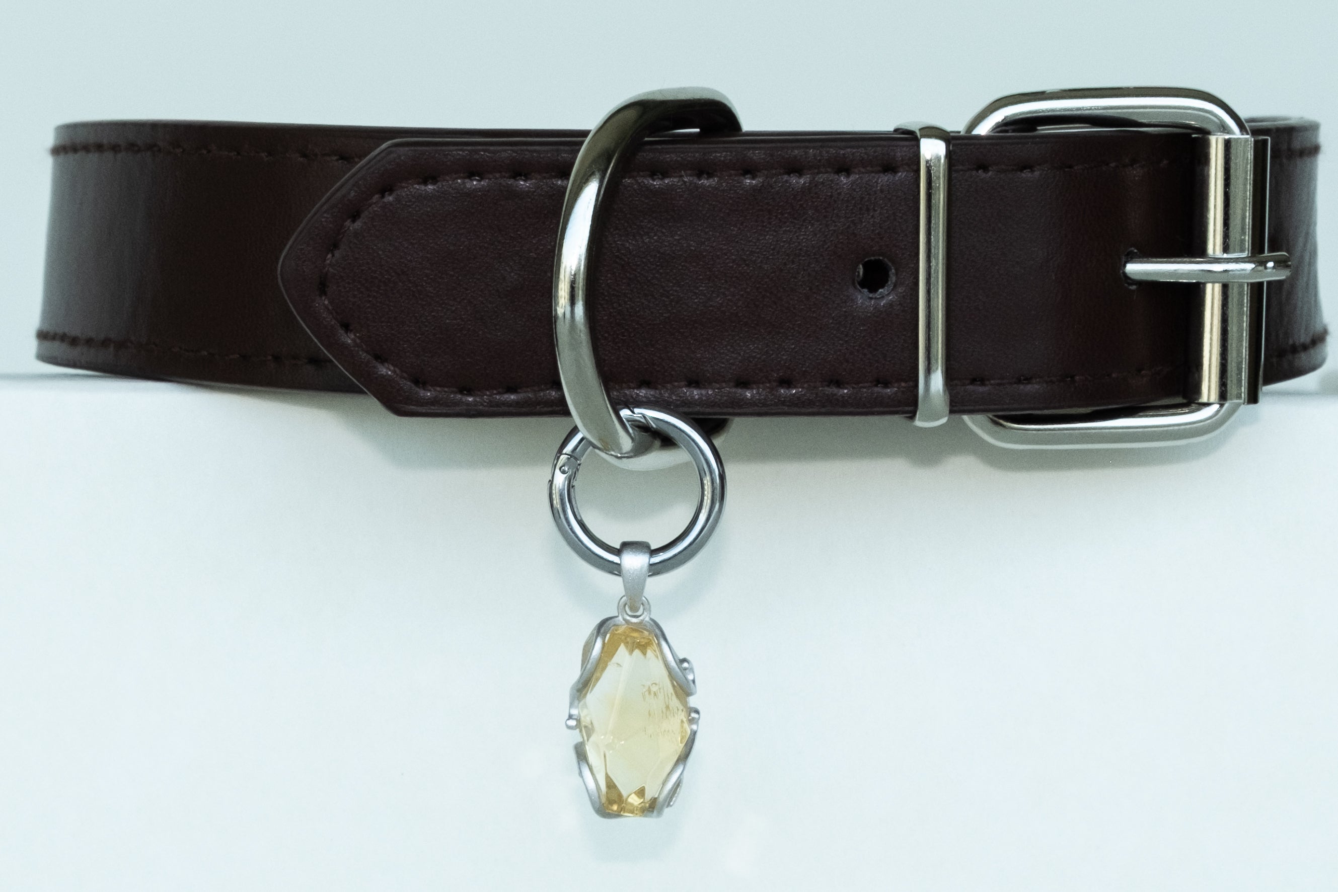 Citrine pet collar charm from the VeilBond Sunlit Days set