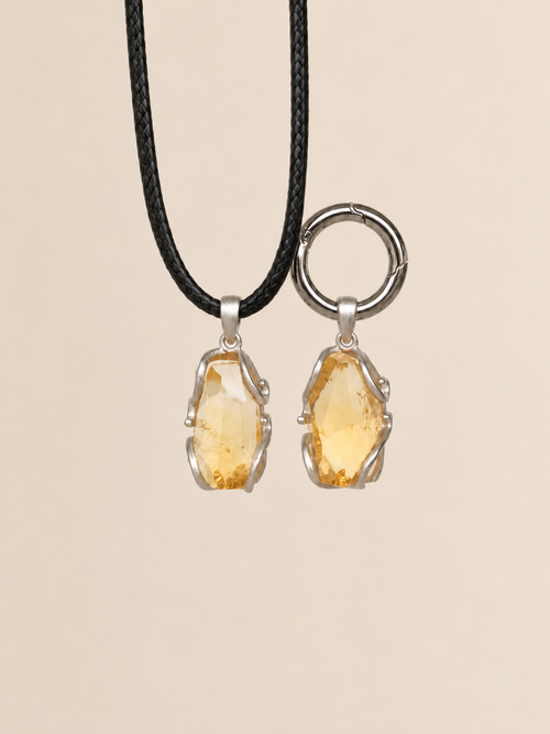 VeilBond Sunlit Days citrine matching set with a crystal pendant necklace for you and a pet collar charm in silver-tone settings.