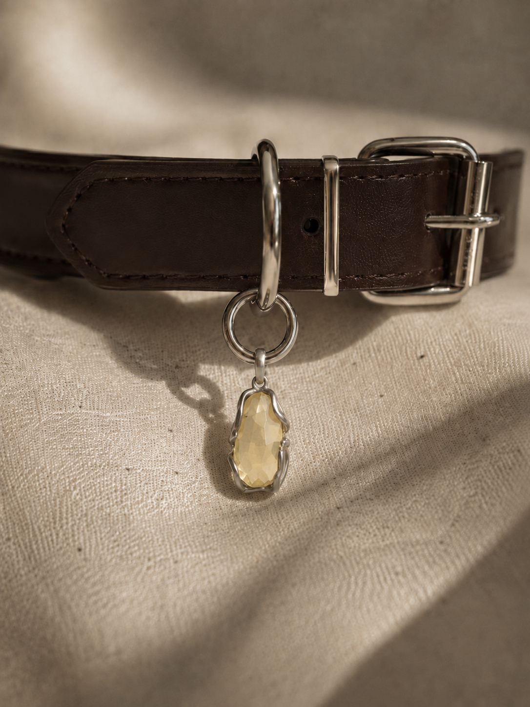 VeilBond Sunlit Days citrine pet collar charm in a copper setting, attached to a pet collar and shown in a close-up detail view.